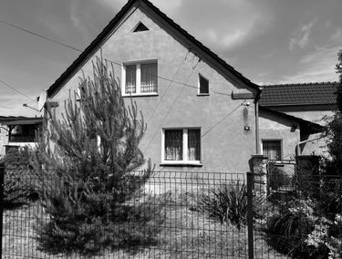 Zdjęcie 15144663