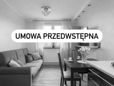 Zdjęcie 15144766