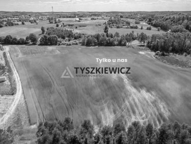 Zdjęcie 15145308