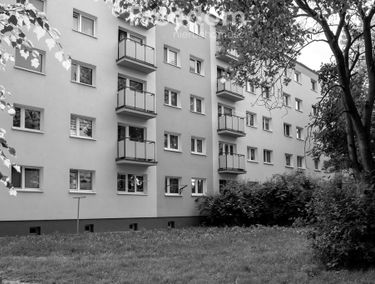 Zdjęcie 15145712