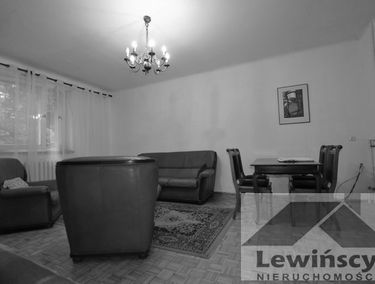 Zdjęcie 15145816