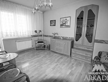 Zdjęcie 15145953