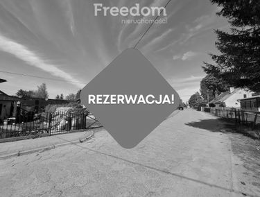 Zdjęcie 15146177