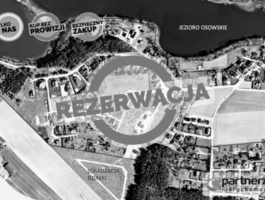 Zdjęcie 15146285
