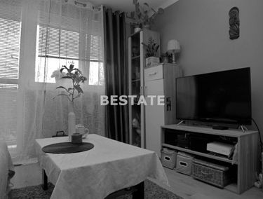 Zdjęcie 15146375