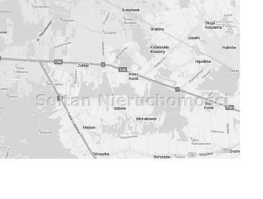 Zdjęcie 15146615