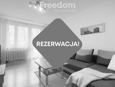 Zdjęcie 15146782