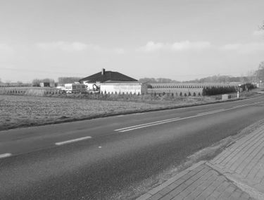 Zdjęcie 15146878
