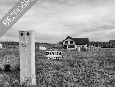 Zdjęcie 15147020