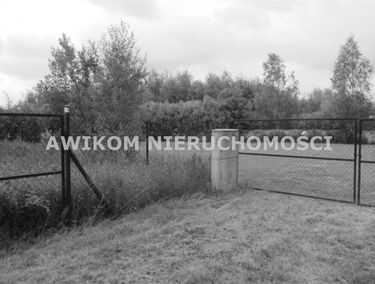 Zdjęcie 15147404