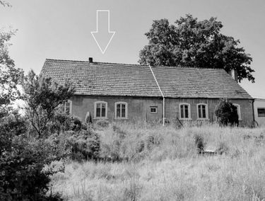 Zdjęcie 15148285