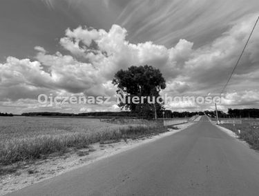 Zdjęcie 15148767