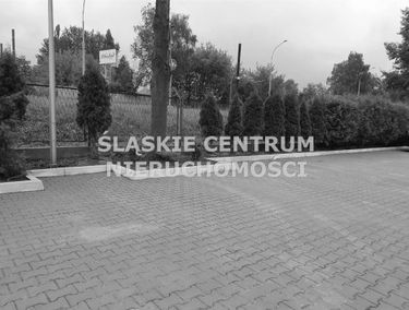 Zdjęcie 15150331
