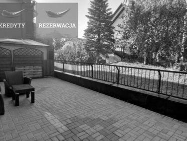 Zdjęcie 15150532
