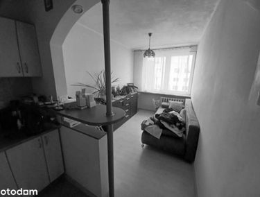 Zdjęcie 15151148