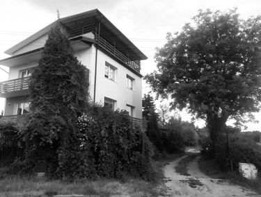 Zdjęcie 15151302