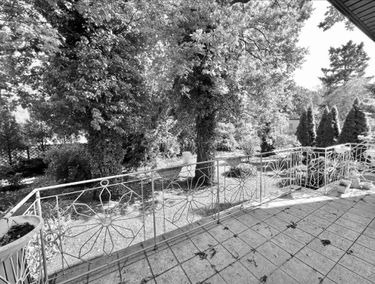 Zdjęcie 15152055