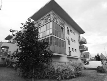 Zdjęcie 15152140