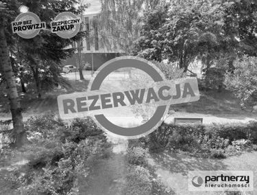 Zdjęcie 15152222