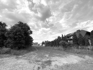 Zdjęcie 15152687