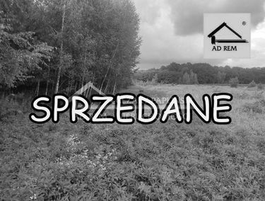 Zdjęcie 15152719