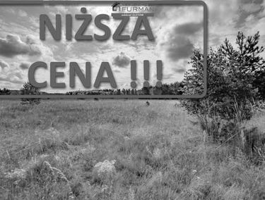 Zdjęcie 15153530
