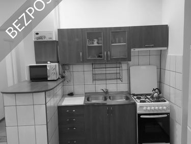 Zdjęcie 15153974