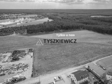 Zdjęcie 15154697