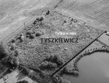 Zdjęcie 15154884
