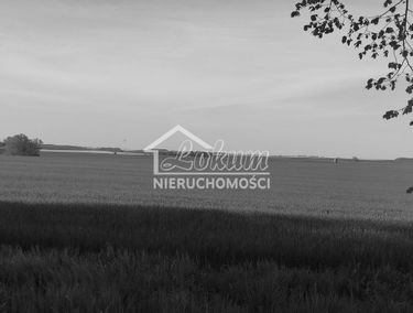 Zdjęcie 15154944