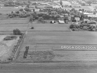 Zdjęcie 15156910