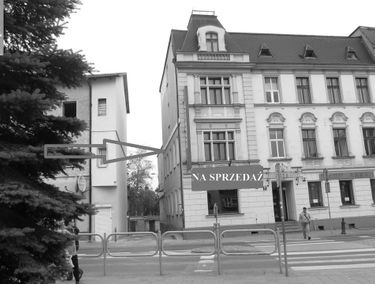 Zdjęcie 15158299