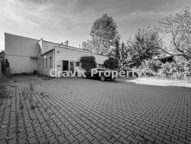 Zdjęcie 15158741
