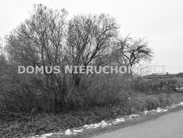 Zdjęcie 15158945