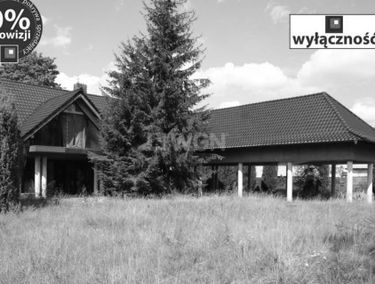 Zdjęcie 15159129
