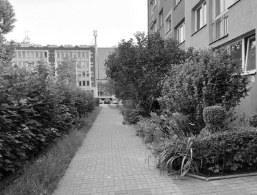 Zdjęcie 15159639