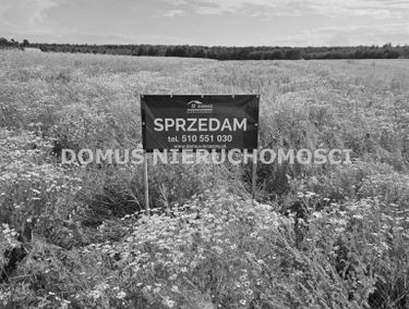 Zdjęcie 15159822