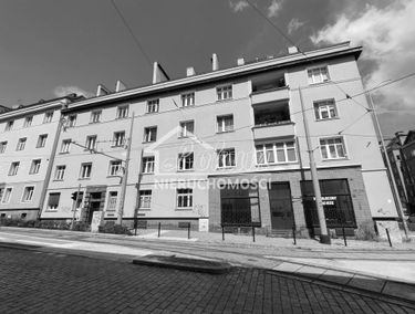 Zdjęcie 15160635