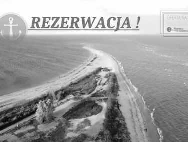 Zdjęcie 15160891