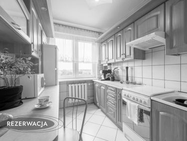 Zdjęcie 15161285