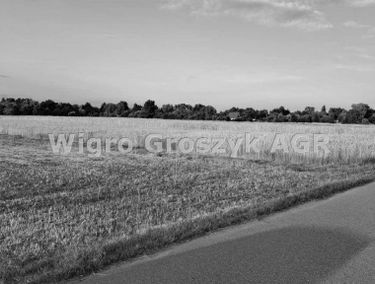 Zdjęcie 15161523