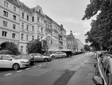 Zdjęcie 15161582