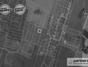 Zdjęcie 15161600
