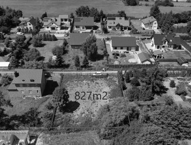 Zdjęcie 15161824
