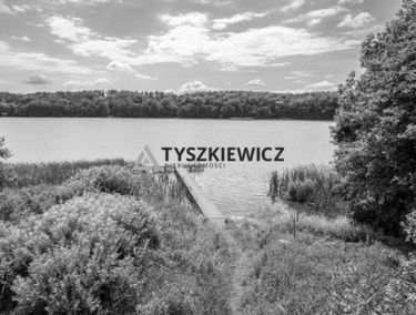 Zdjęcie 15161851