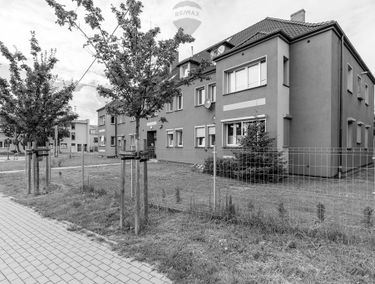 Zdjęcie 15162058