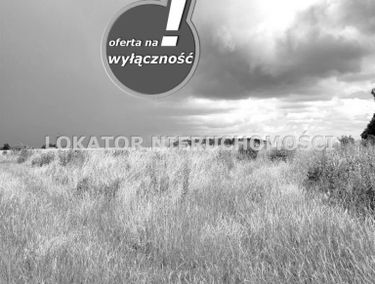 Zdjęcie 15162486
