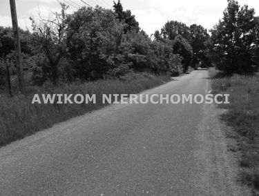 Zdjęcie 15162548