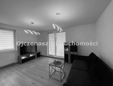 Zdjęcie 15162605