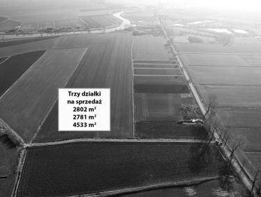 Zdjęcie 15162692